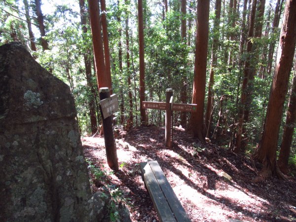 登山道